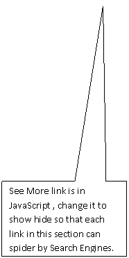 Rectangular Callout: See More link is in JavaScript , change it to show hide so that each link in this section can spider by Search Engines.